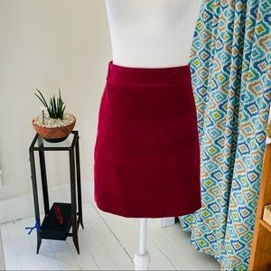 Mini Skirt in Corduroy